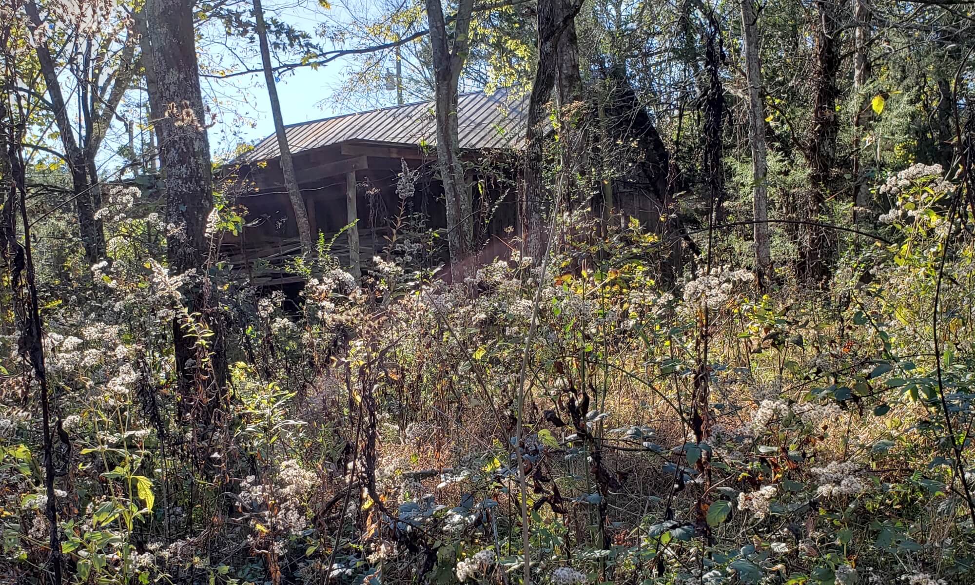 Hazelwood Hospitality - Papa's Workshop